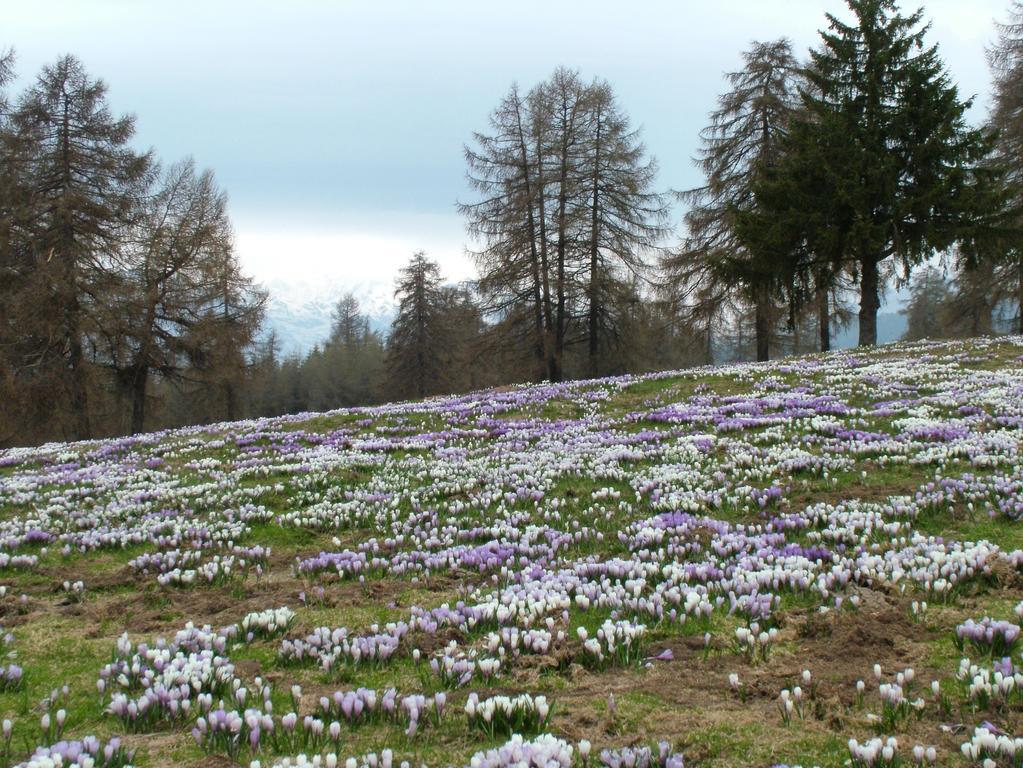 Kastnerhof Villa Meltina Buitenkant foto